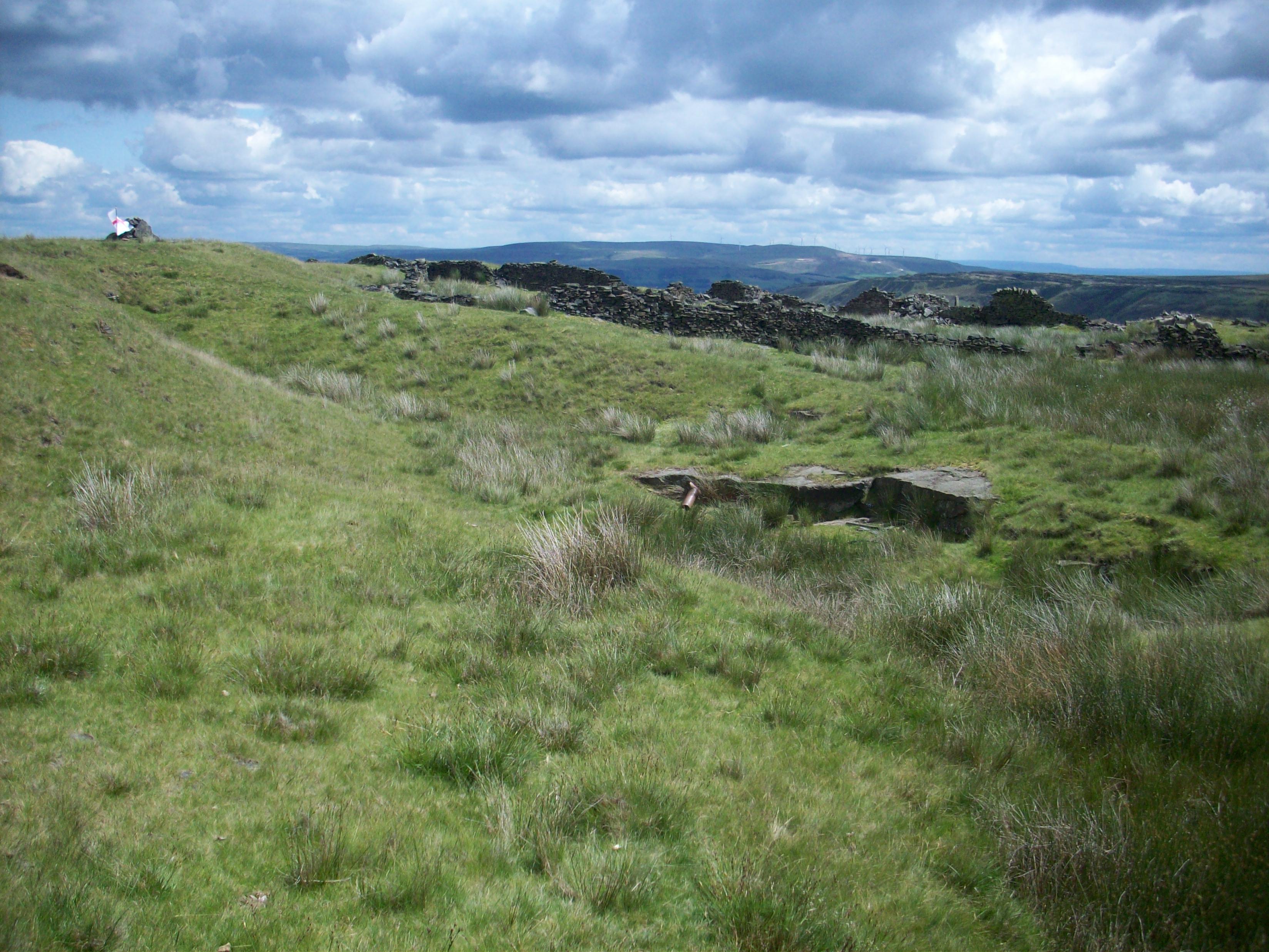 Moorland