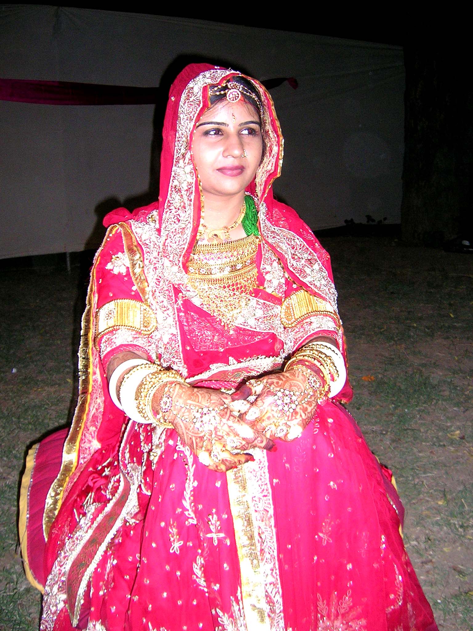 rajput choli